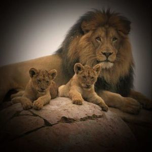 Meet your Posher, Larry